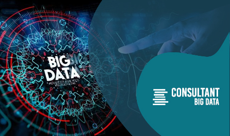 cursus CONSULTANT BIG DATA